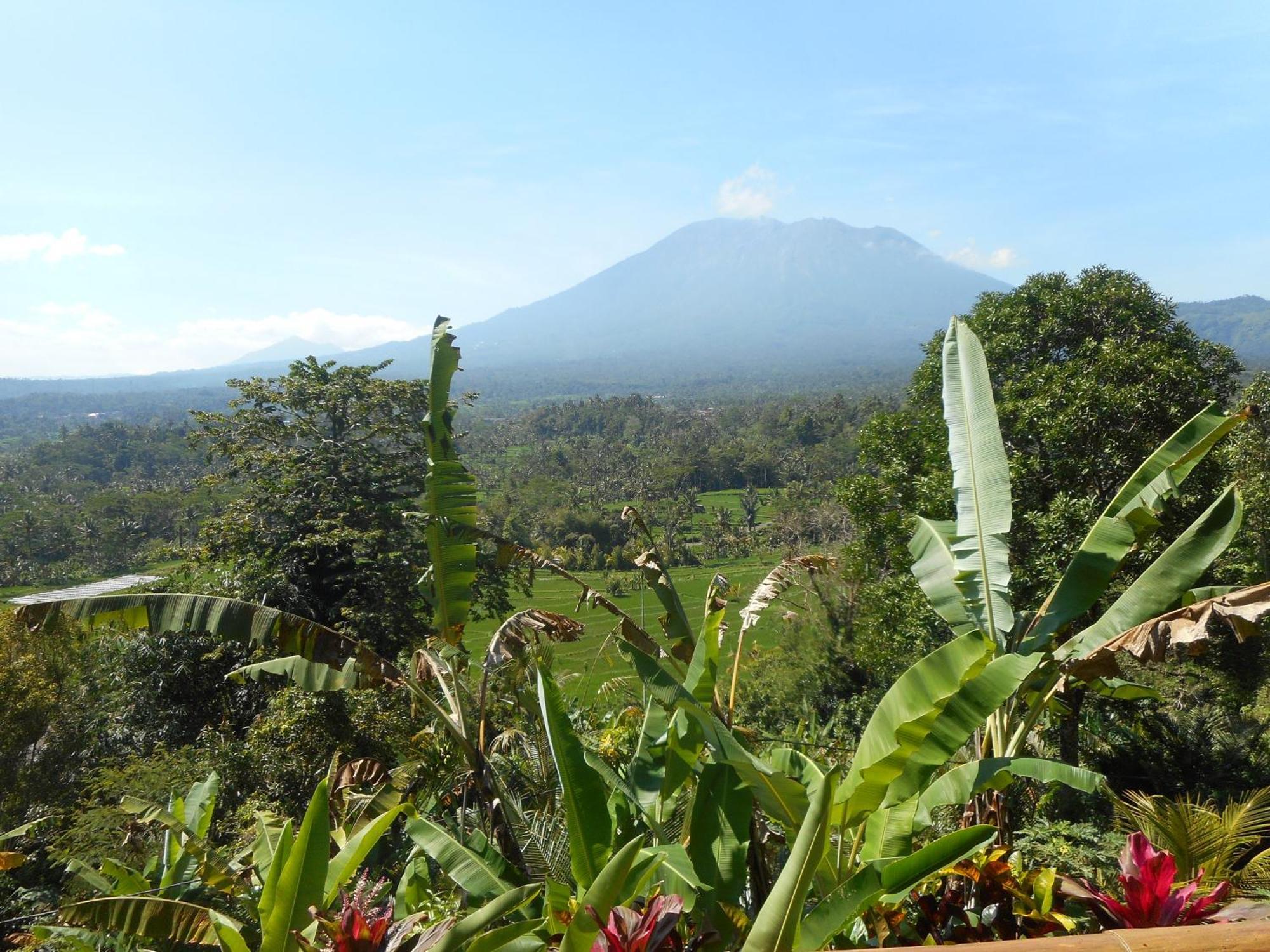Villa Dukuh Selat Bagian luar foto